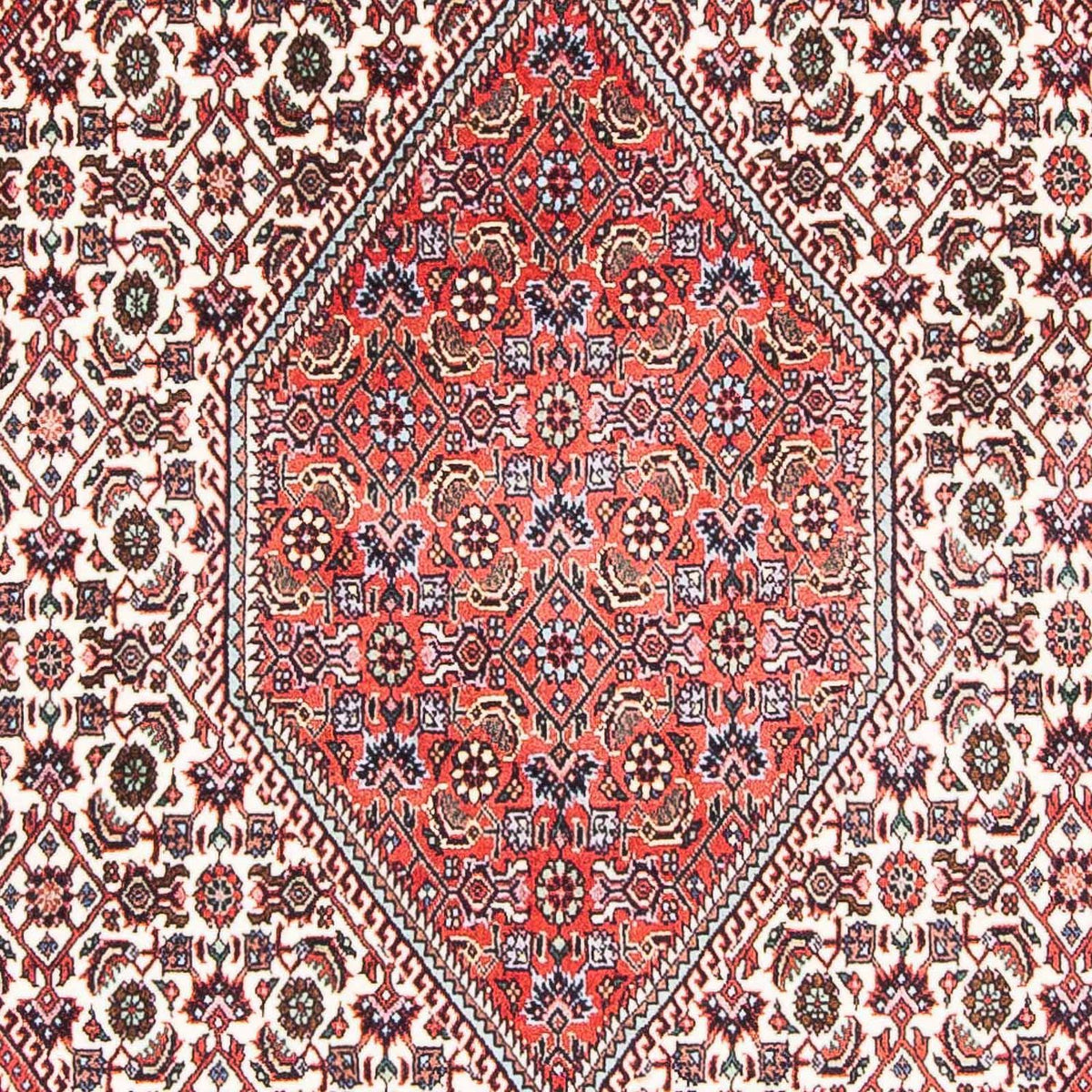 Tappeto Persero - Bidjar - 175 x 113 cm - beige