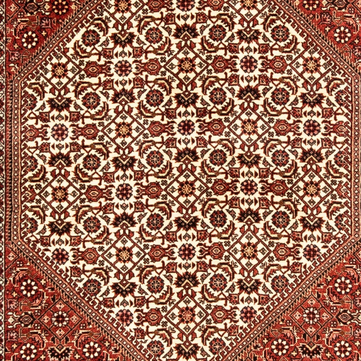Tappeto corsia Tappeto Persero - Bidjar - 304 x 83 cm - multicolore