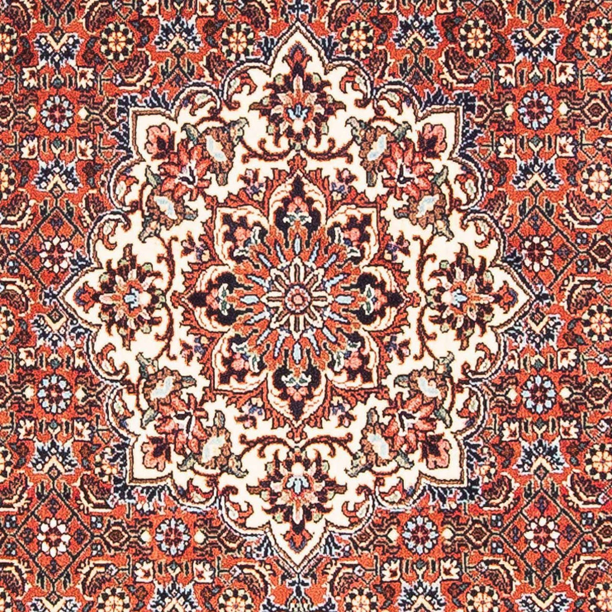 Tappeto Persero - Bidjar - 148 x 88 cm - rosso