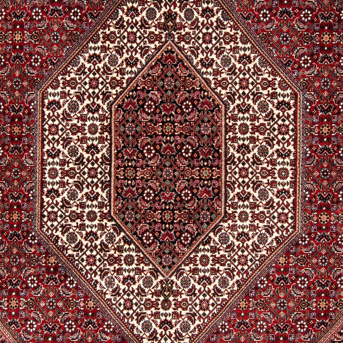 Tappeto Persero - Bidjar - 243 x 167 cm - rosso