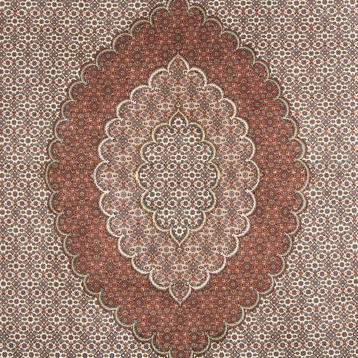 Tappeto Persero - Tabriz - 300 x 200 cm - marrone chiaro