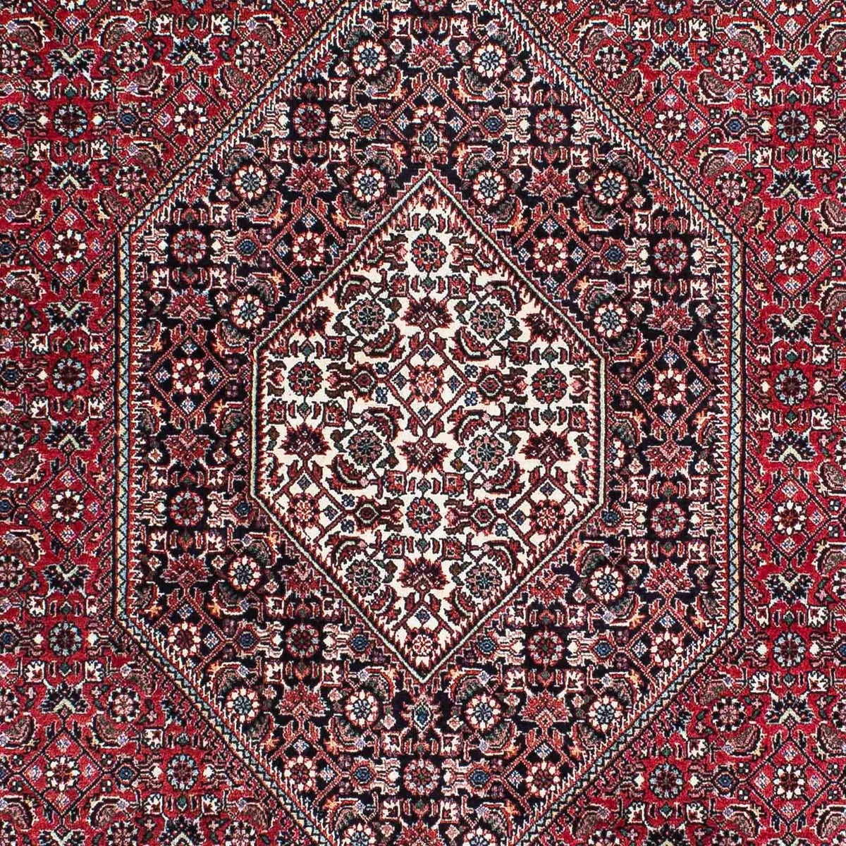 Tappeto Persero - Bidjar - 209 x 128 cm - rosso