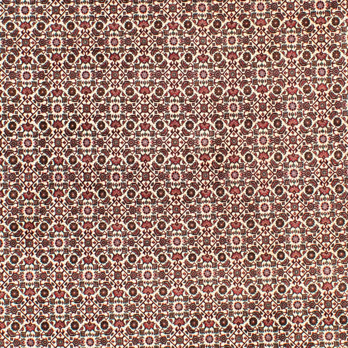 Tappeto Persero - Bidjar - 294 x 200 cm - beige