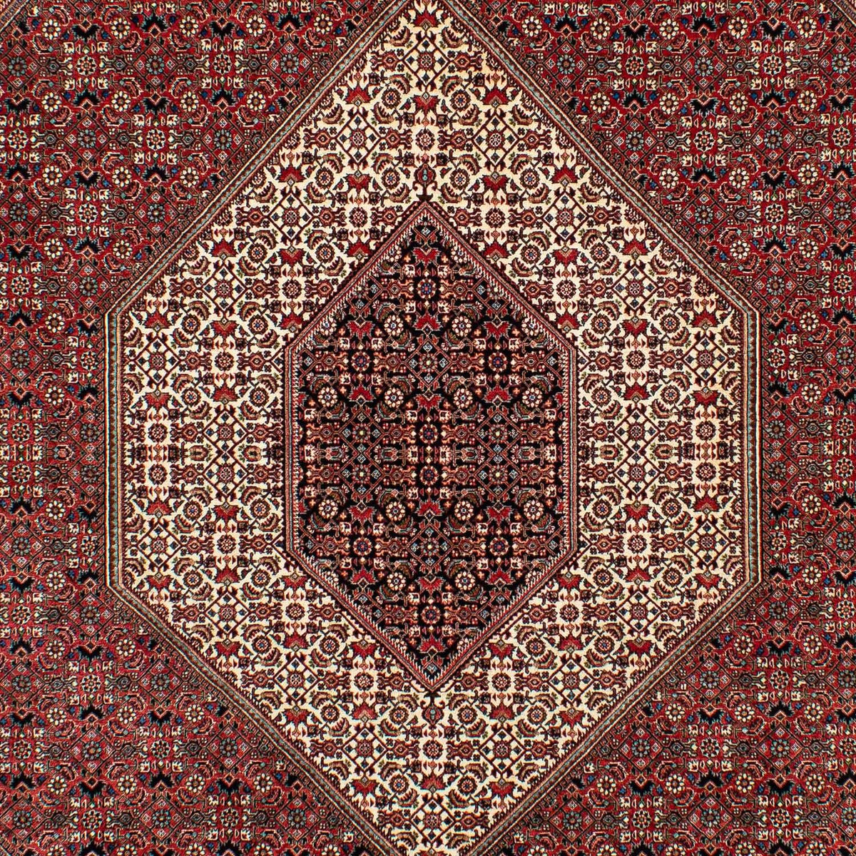 Tappeto Persero - Bidjar - 305 x 203 cm - rosso scuro