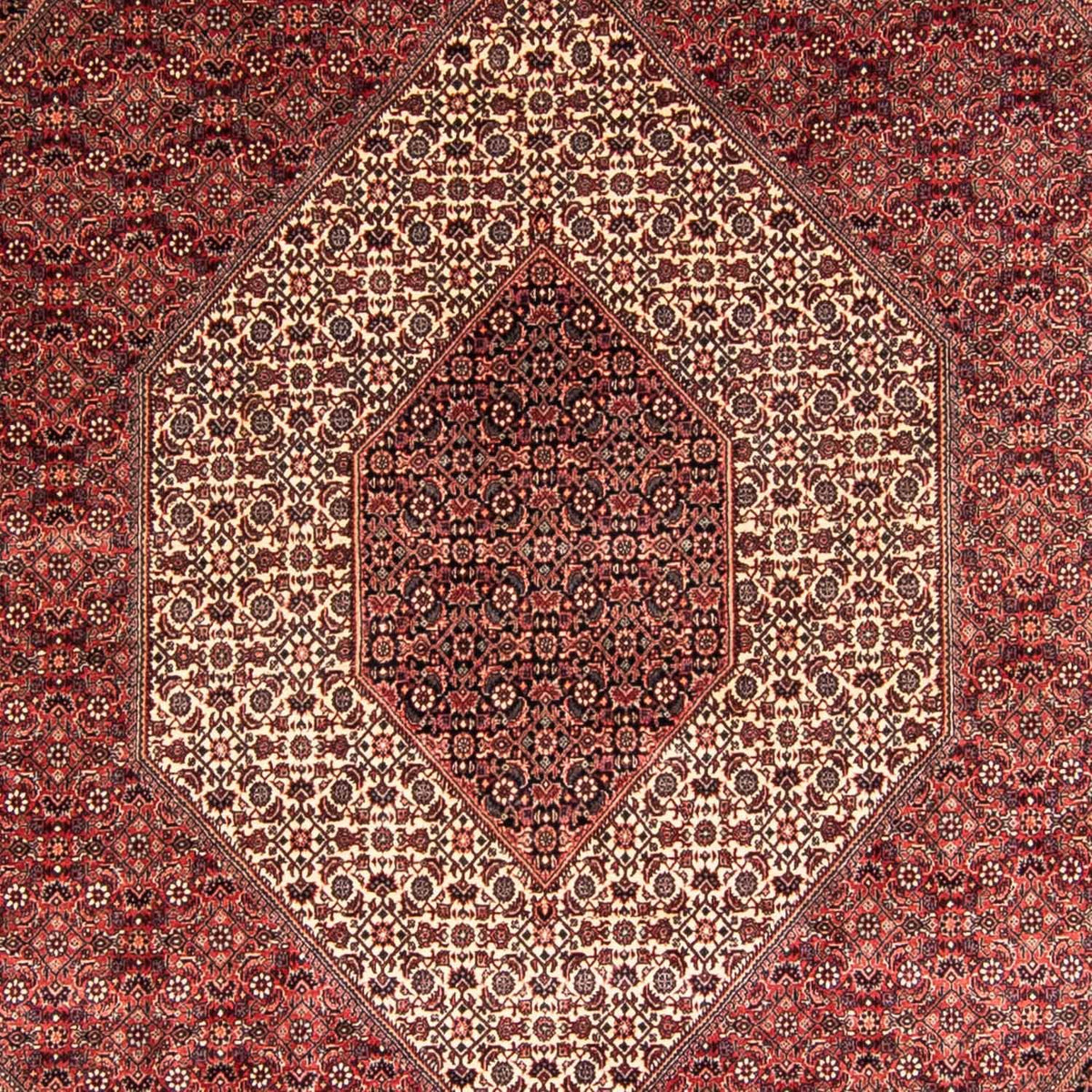 Tappeto Persero - Bidjar - 340 x 252 cm - rosso chiaro