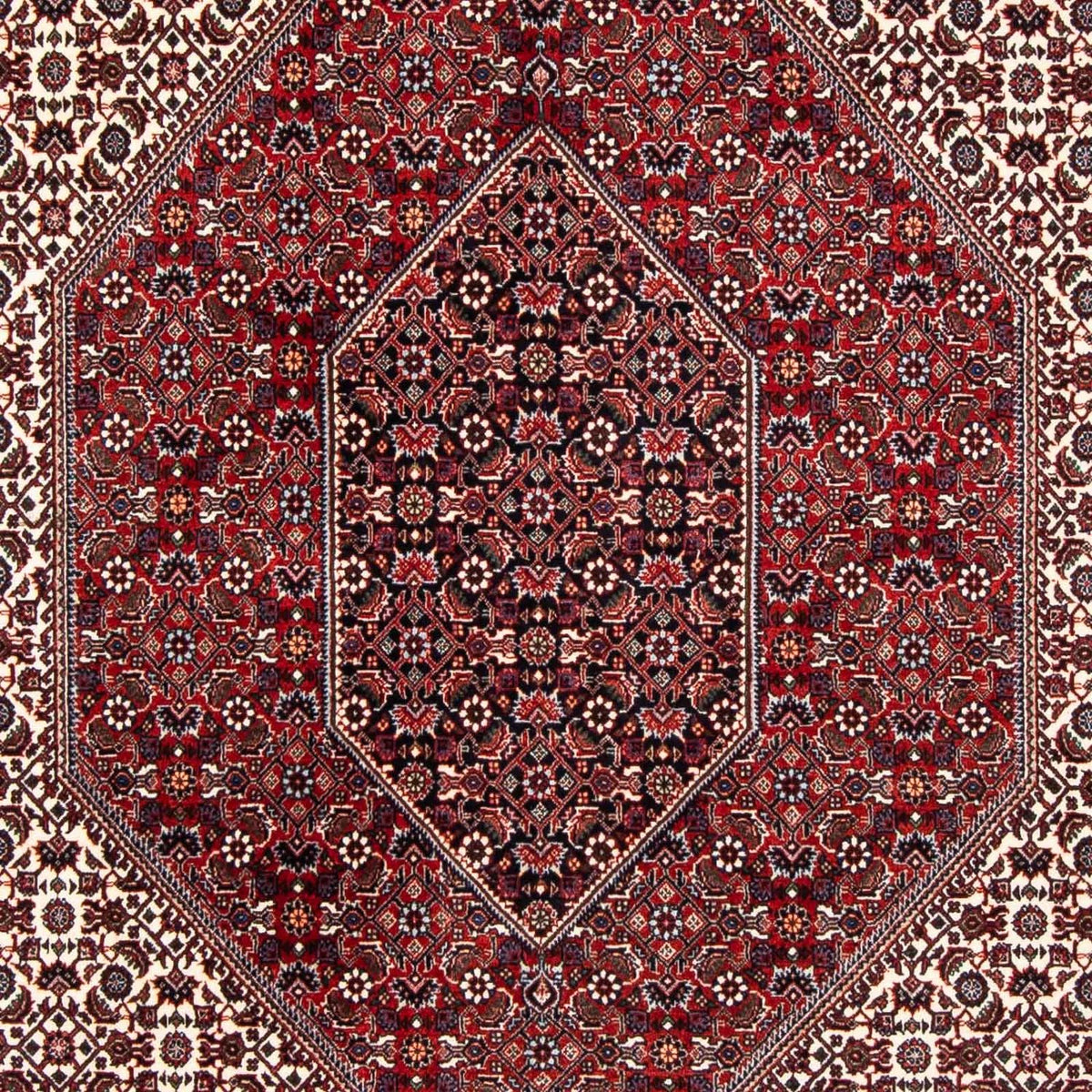 Tappeto Persero - Bidjar - 241 x 170 cm - rosso scuro