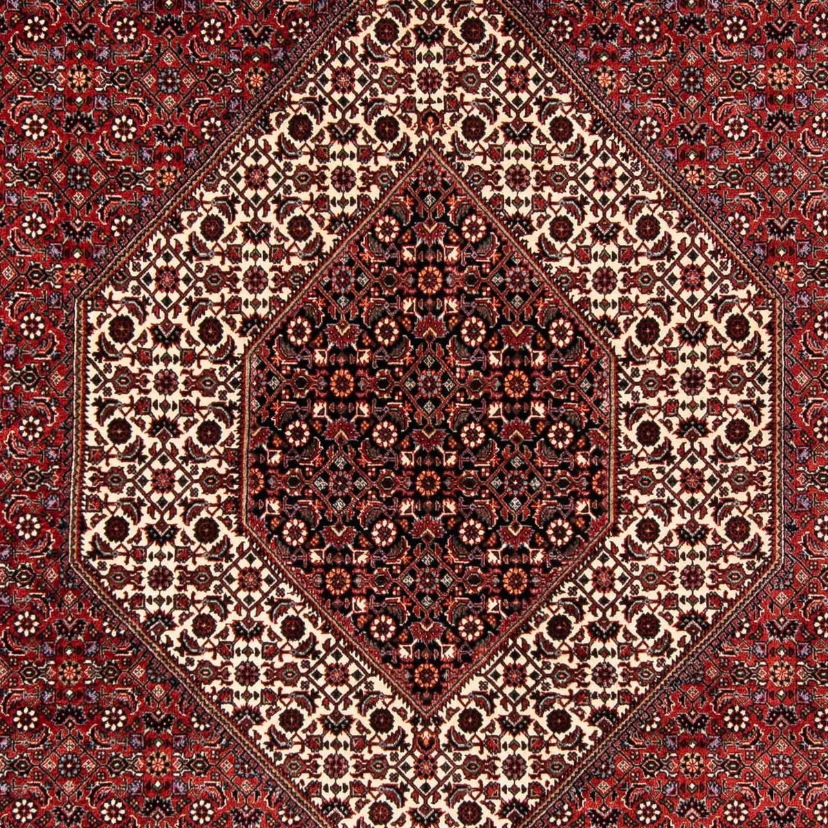 Tappeto Persero - Bidjar - 254 x 174 cm - rosso scuro
