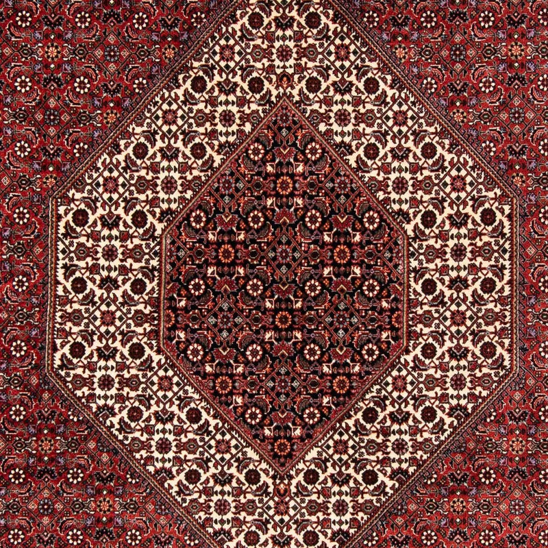 Tappeto Persero - Bidjar - 254 x 174 cm - rosso scuro