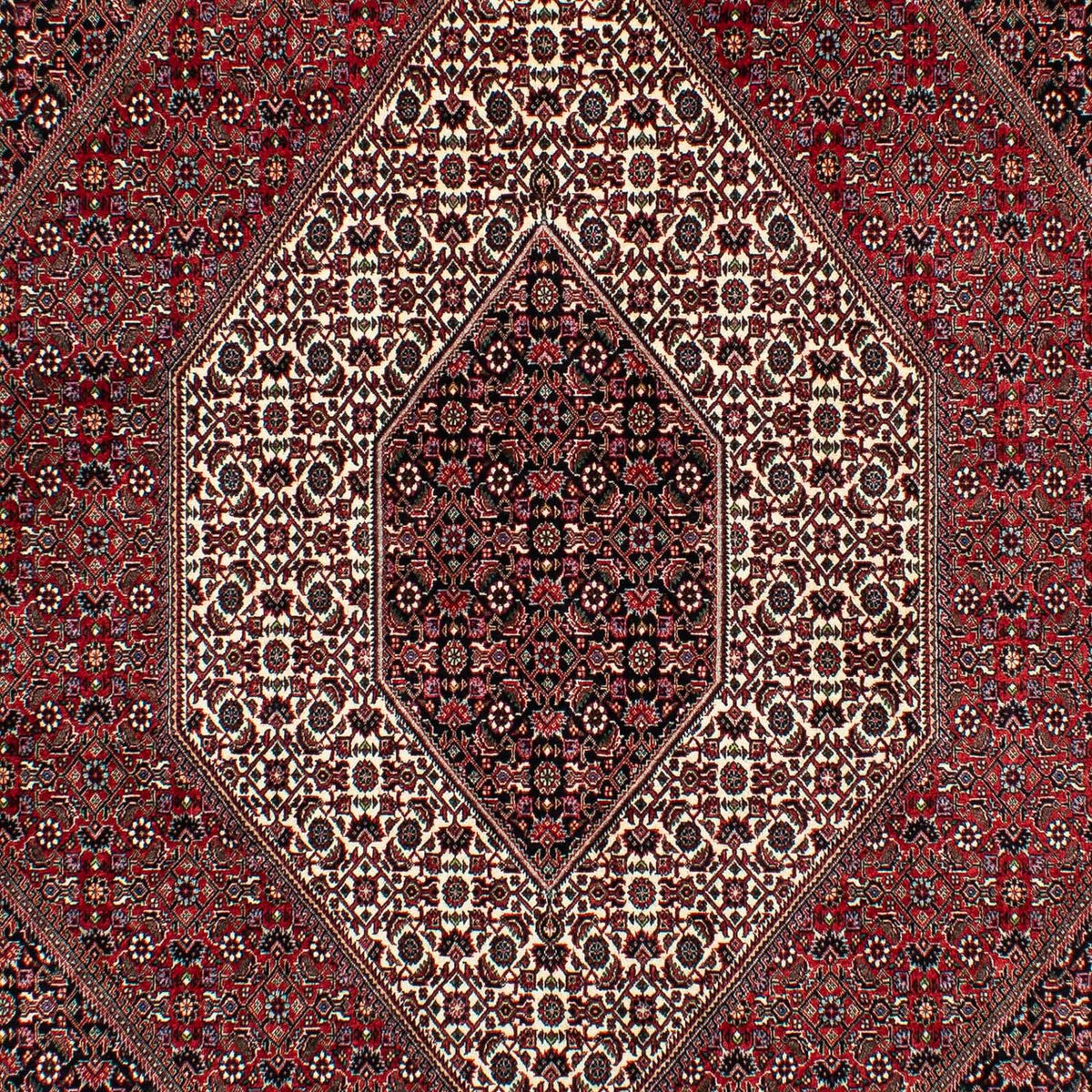 Tappeto Persero - Bidjar - 305 x 203 cm - rosso scuro
