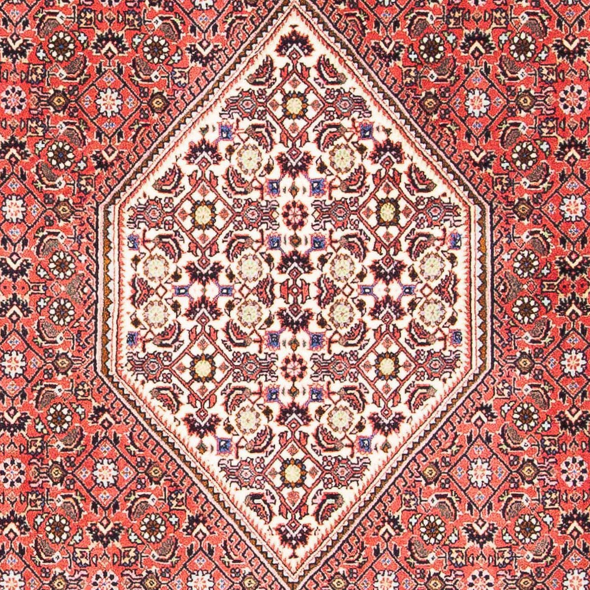 Tappeto Persero - Bidjar - 179 x 108 cm - rosso chiaro