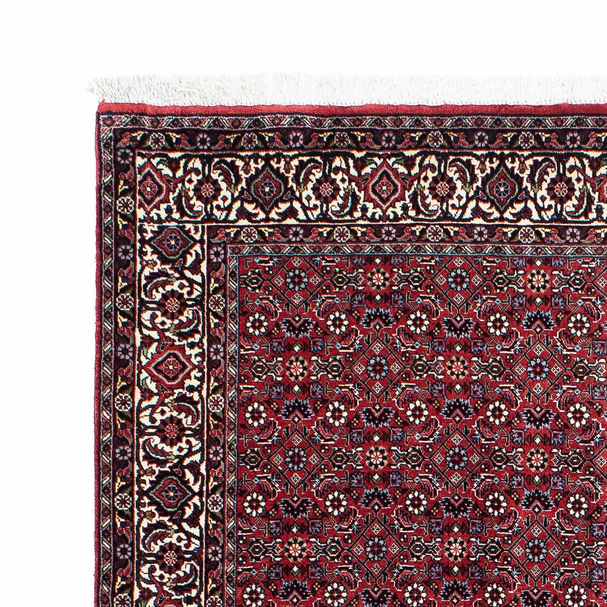 Tappeto Persero - Bidjar - 202 x 132 cm - rosso