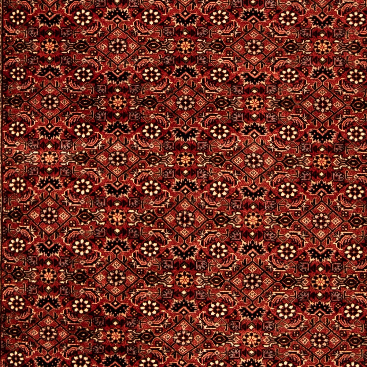 Tappeto corsia Tappeto Persero - Bidjar - 293 x 84 cm - rosso scuro