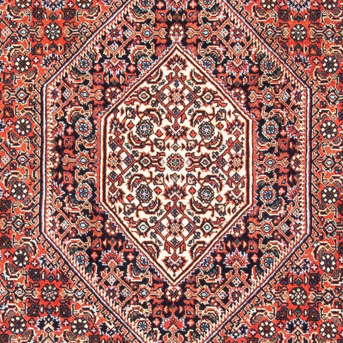 Tappeto Persero - Bidjar - 145 x 91 cm - rosso chiaro