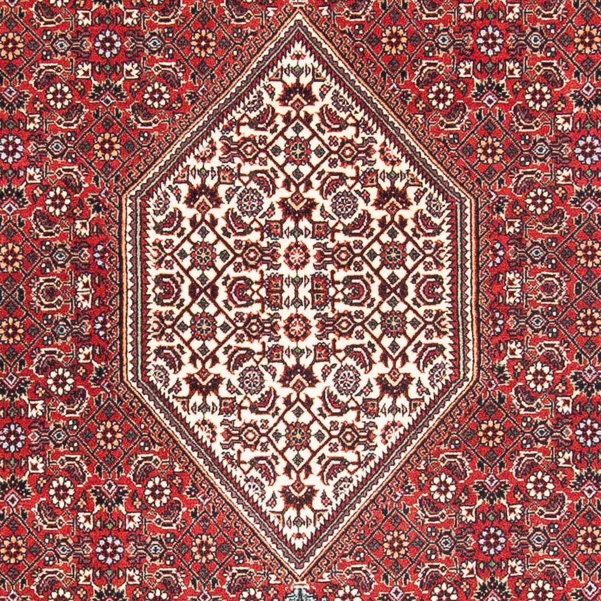Tappeto Persero - Bidjar - 174 x 112 cm - rosso chiaro