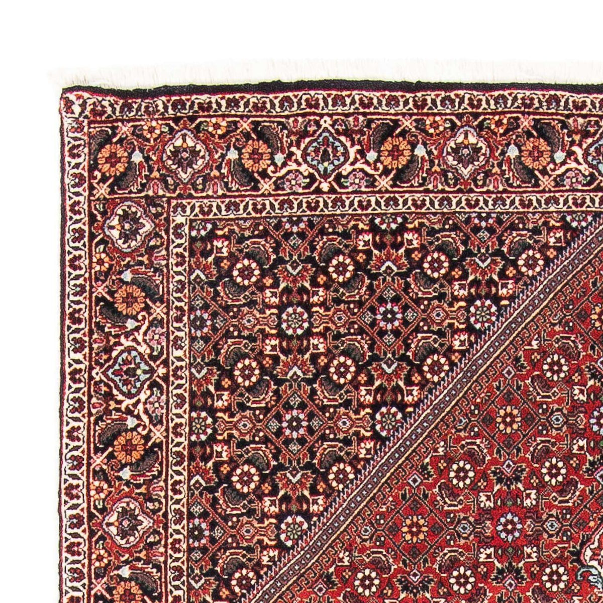 Tappeto Persero - Bidjar - 174 x 112 cm - rosso chiaro