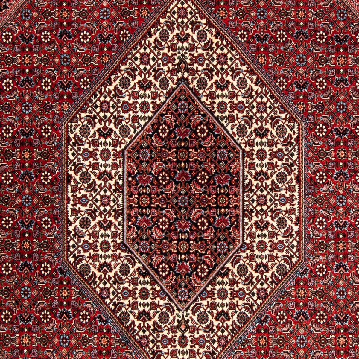 Tappeto Persero - Bidjar - 252 x 170 cm - rosso scuro