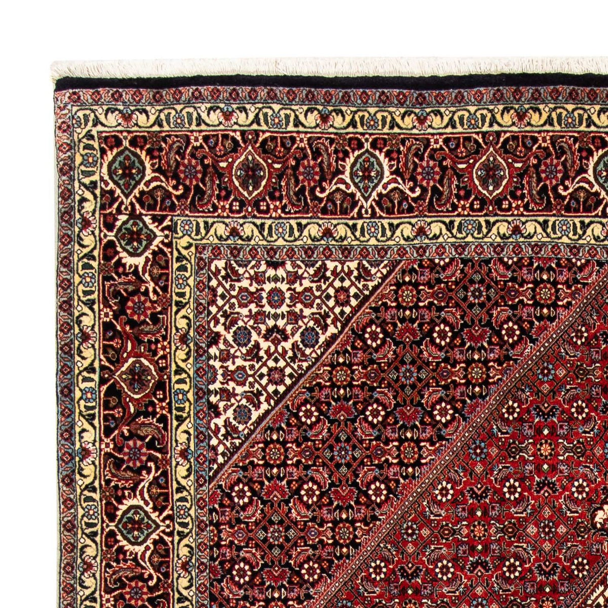Tappeto Persero - Bidjar - 252 x 170 cm - rosso scuro
