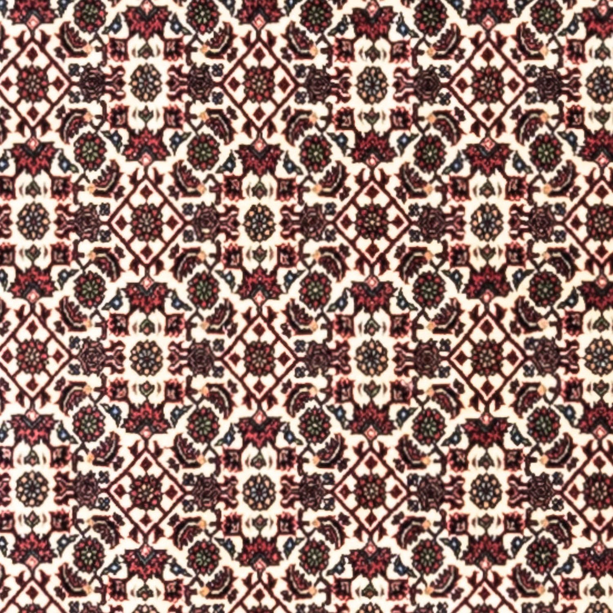 Tappeto Persero - Bidjar - 296 x 204 cm - beige