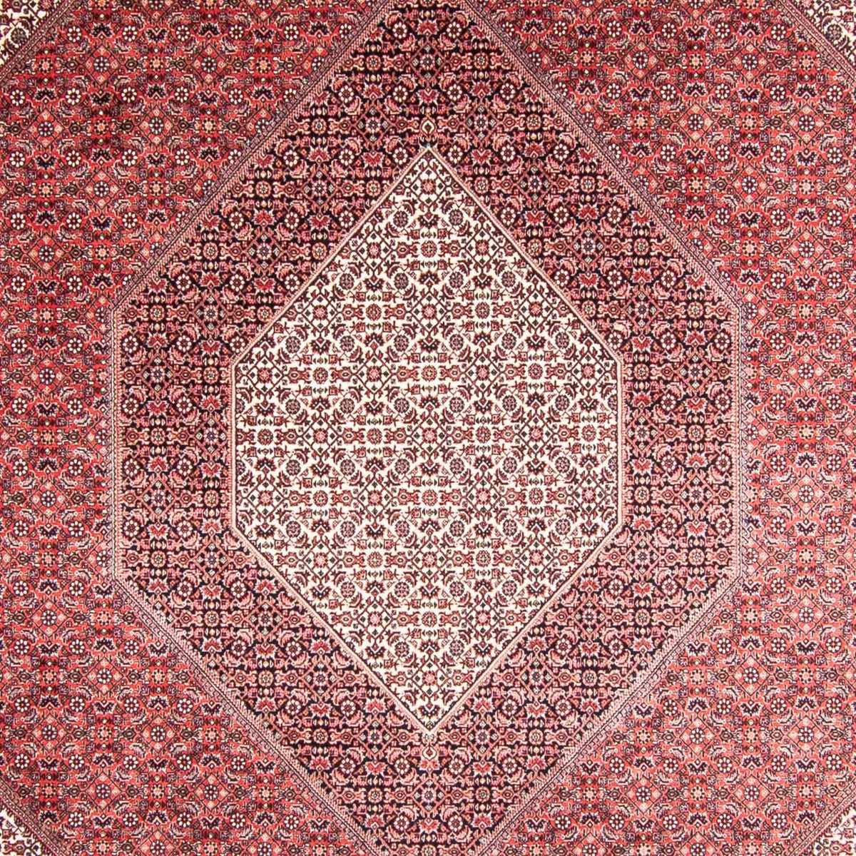 Tappeto Persero - Bidjar - 355 x 248 cm - rosso chiaro