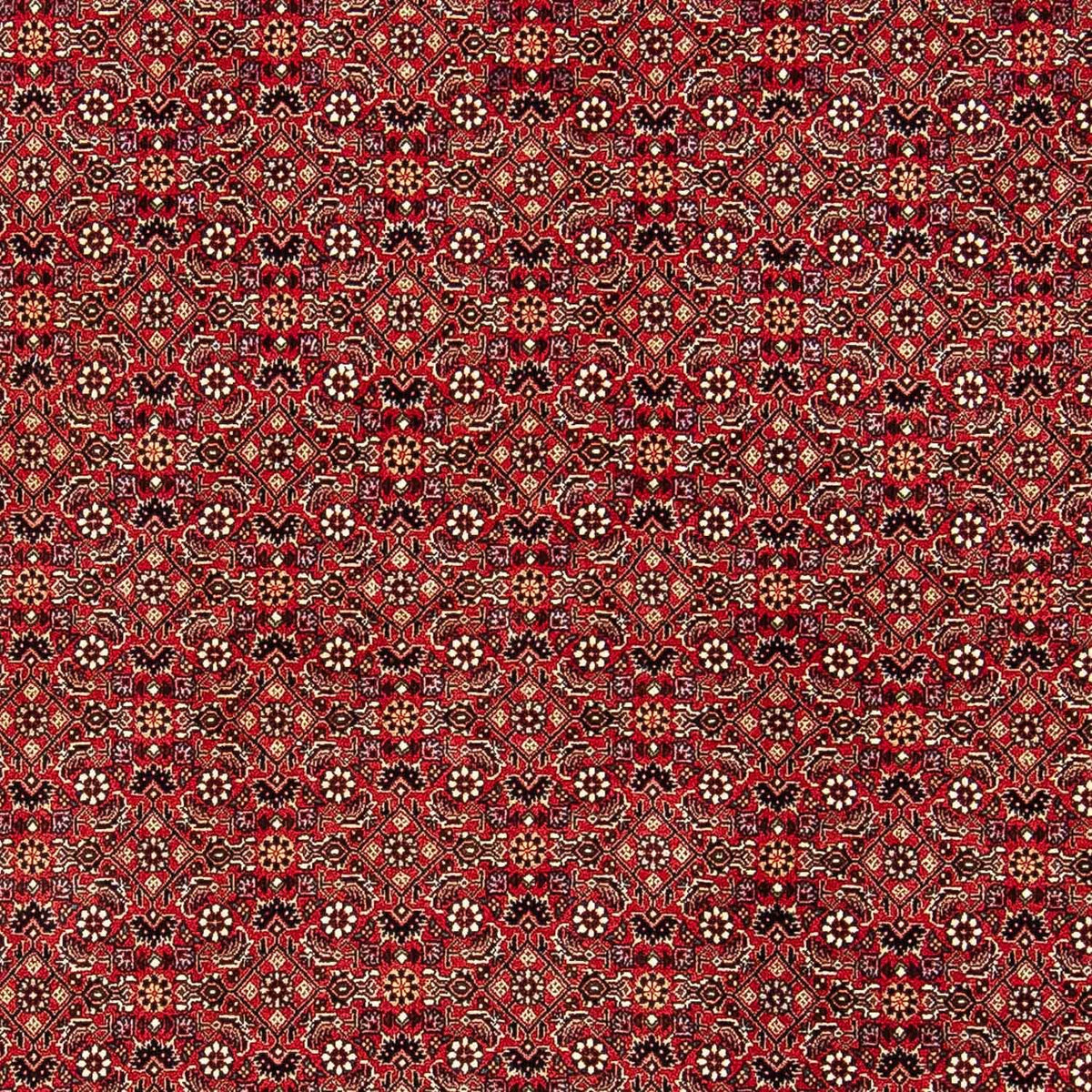 Tappeto Persero - Bidjar - 248 x 174 cm - rosso