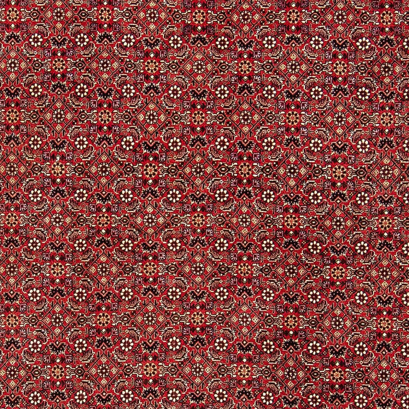 Tappeto Persero - Bidjar - 248 x 174 cm - rosso