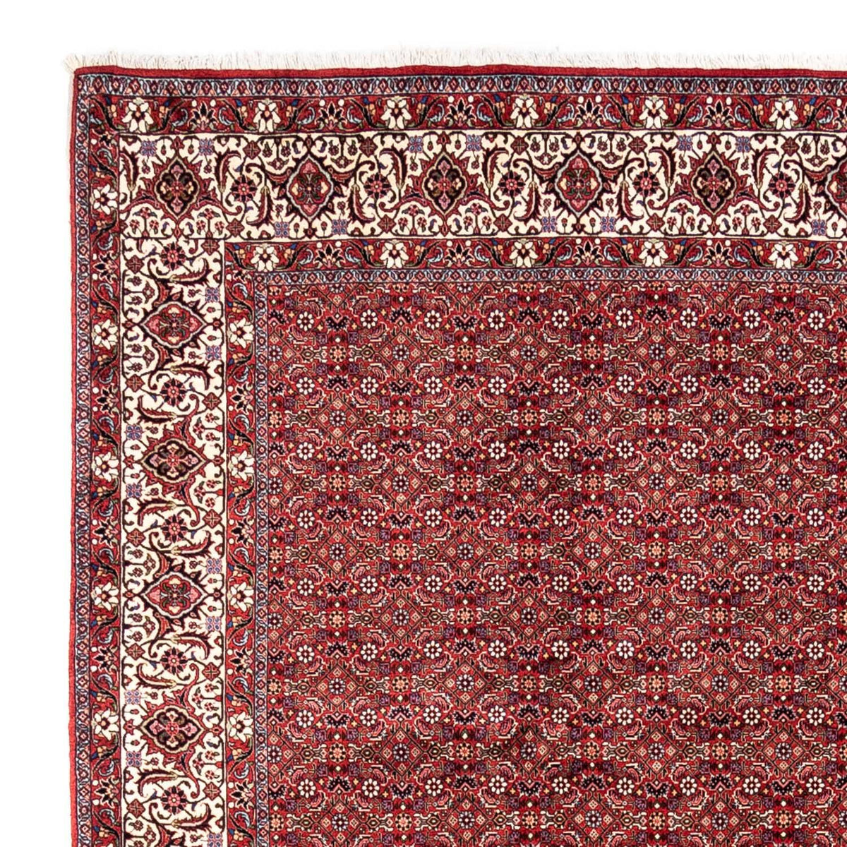 Tappeto Persero - Bidjar - 340 x 252 cm - rosso