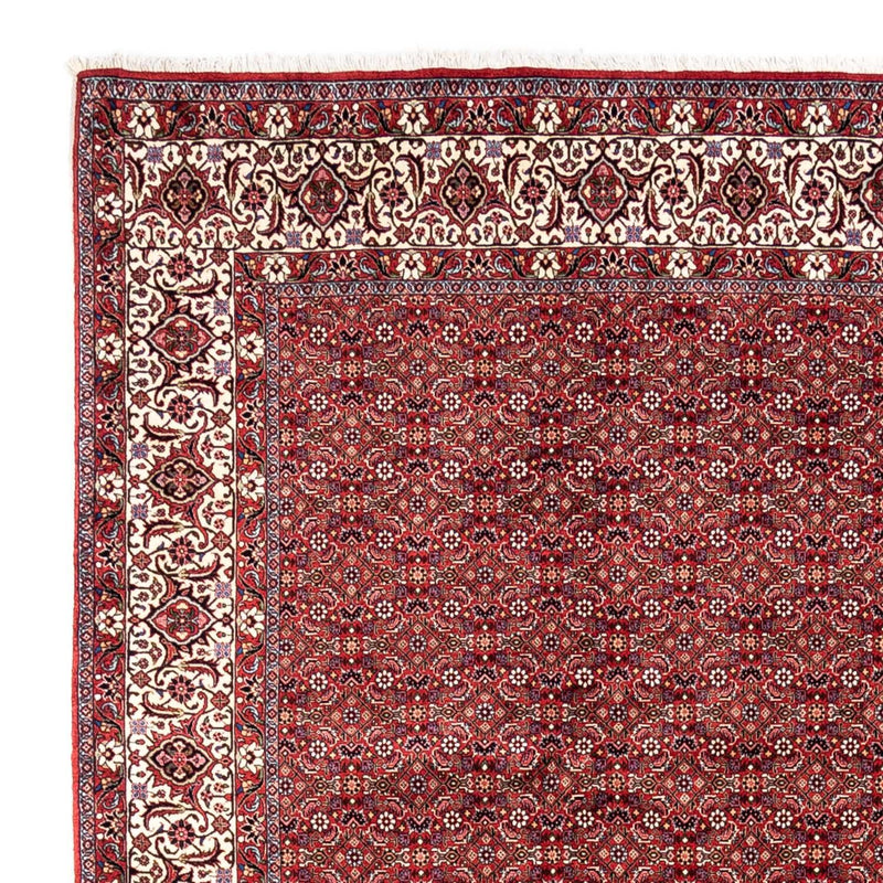 Tappeto Persero - Bidjar - 340 x 252 cm - rosso