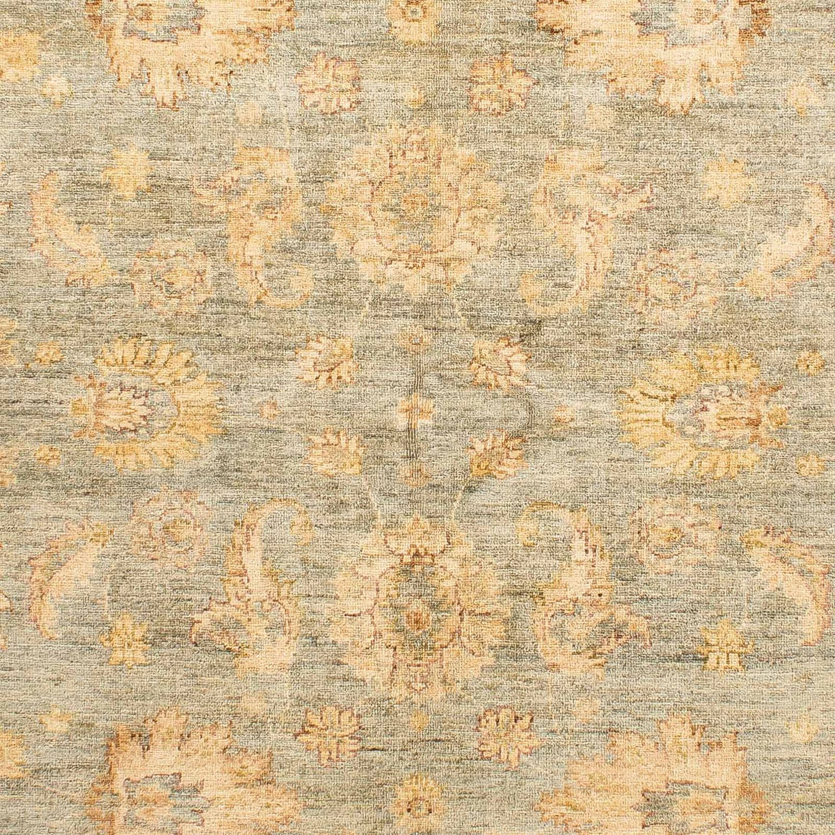 Tappeto Ziegler - 234 x 173 cm - marrone chiaro