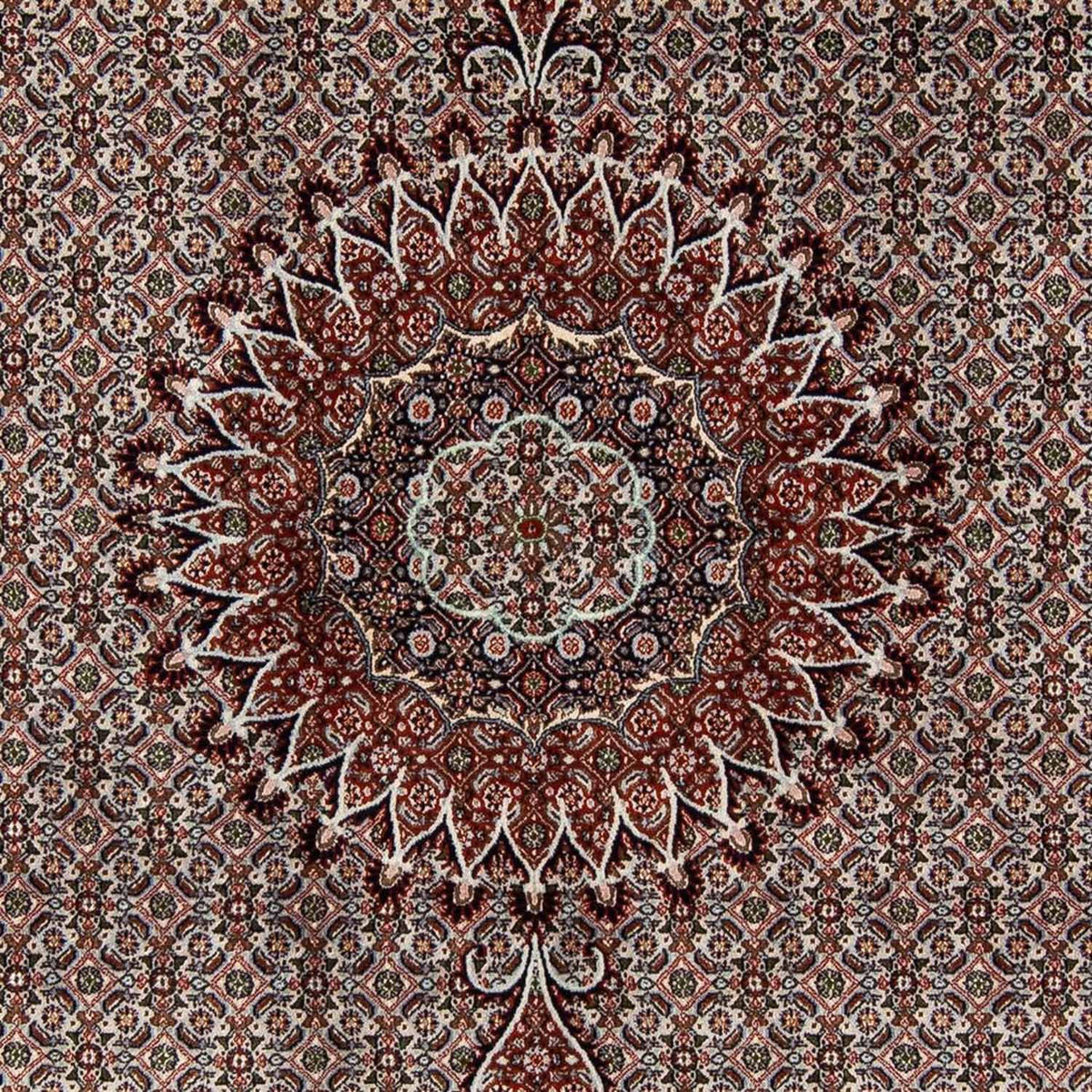 Tappeto Persero - Classico - 284 x 201 cm - beige