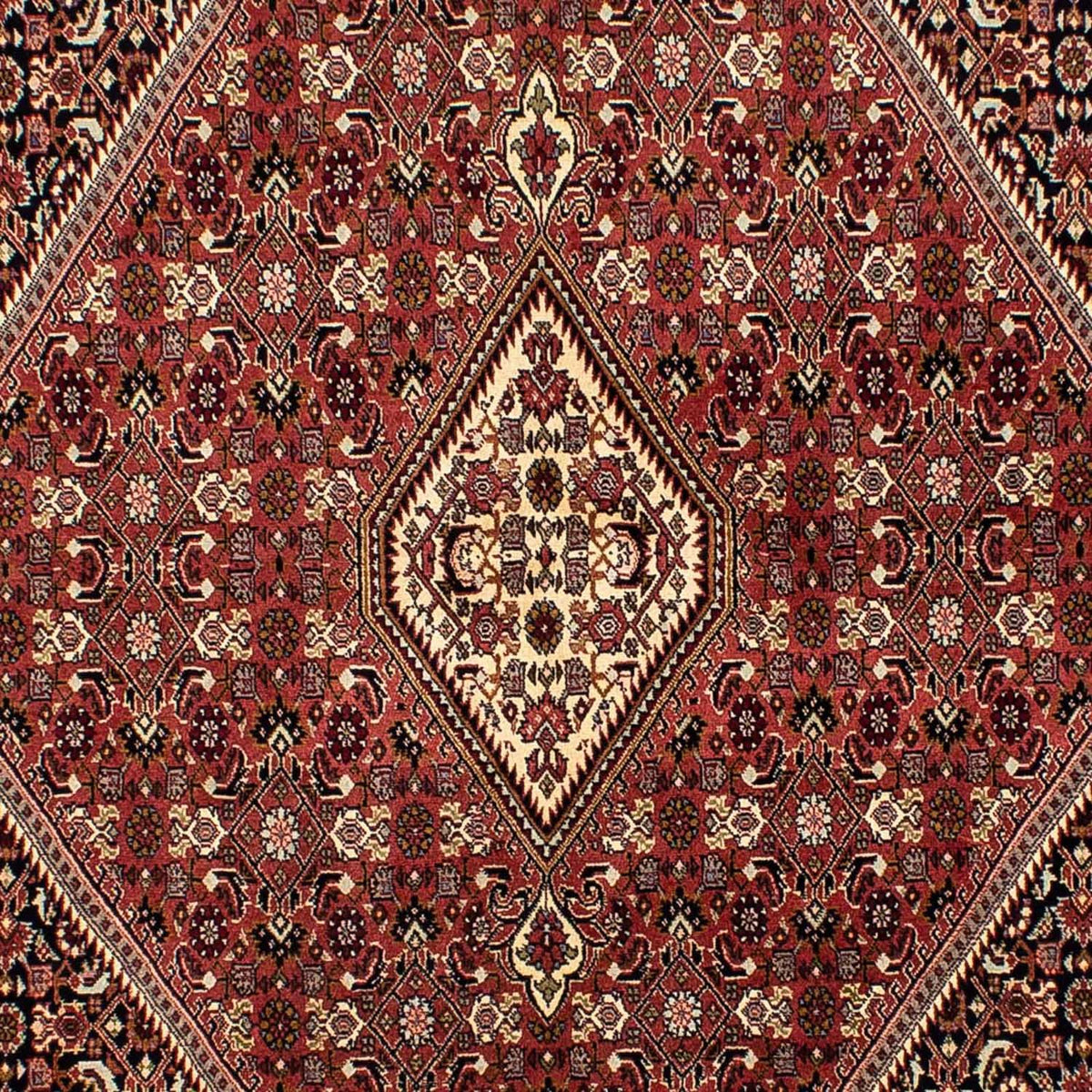 Tappeto Persero - Bidjar - 254 x 176 cm - marrone