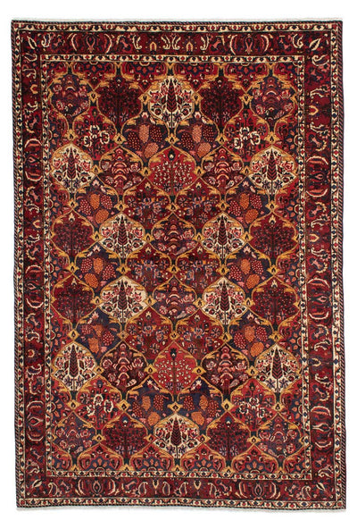 Bakhtiari Tappeto 211x305cm - Tappeto persiano