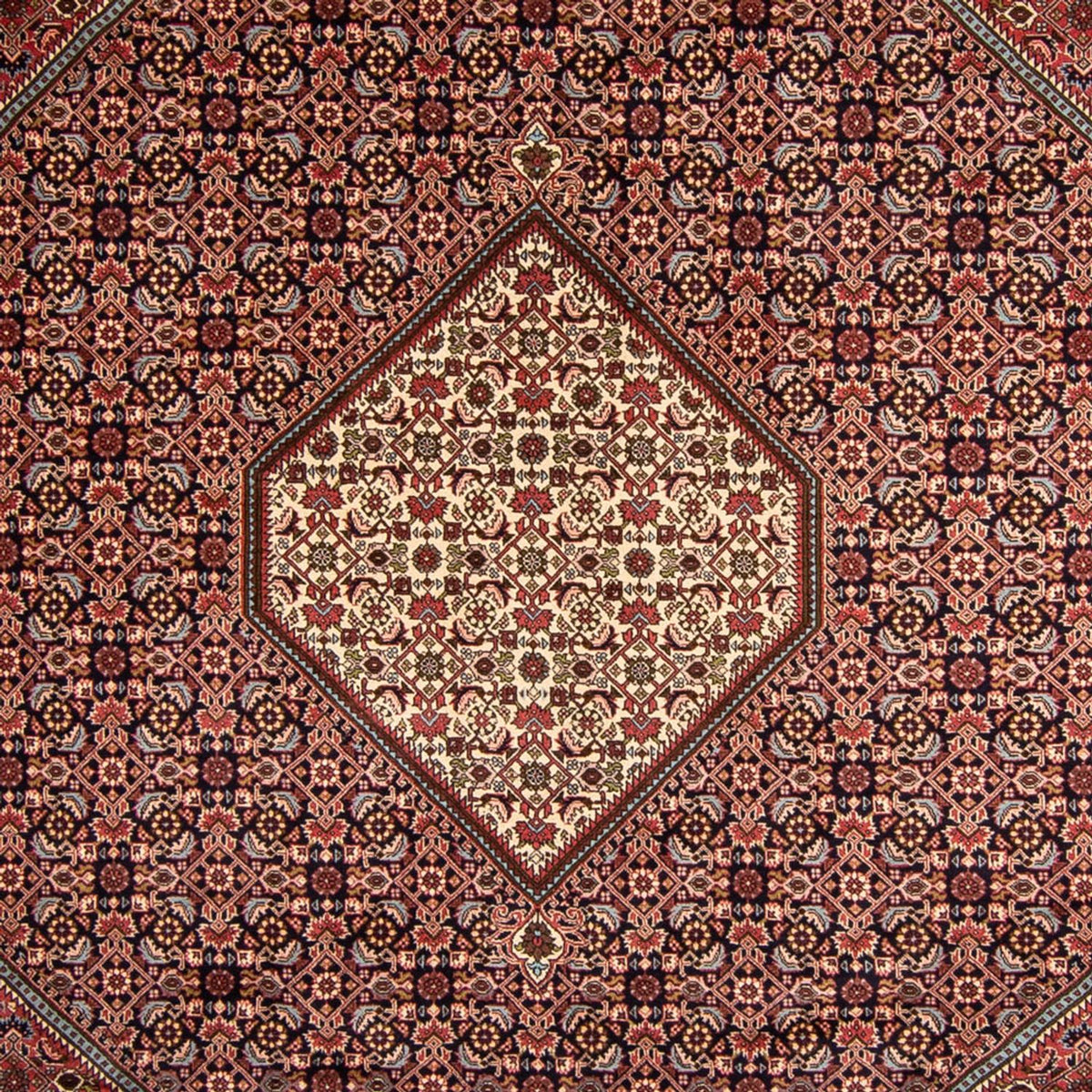 Tappeto Persero - Bidjar - 340 x 252 cm - marrone