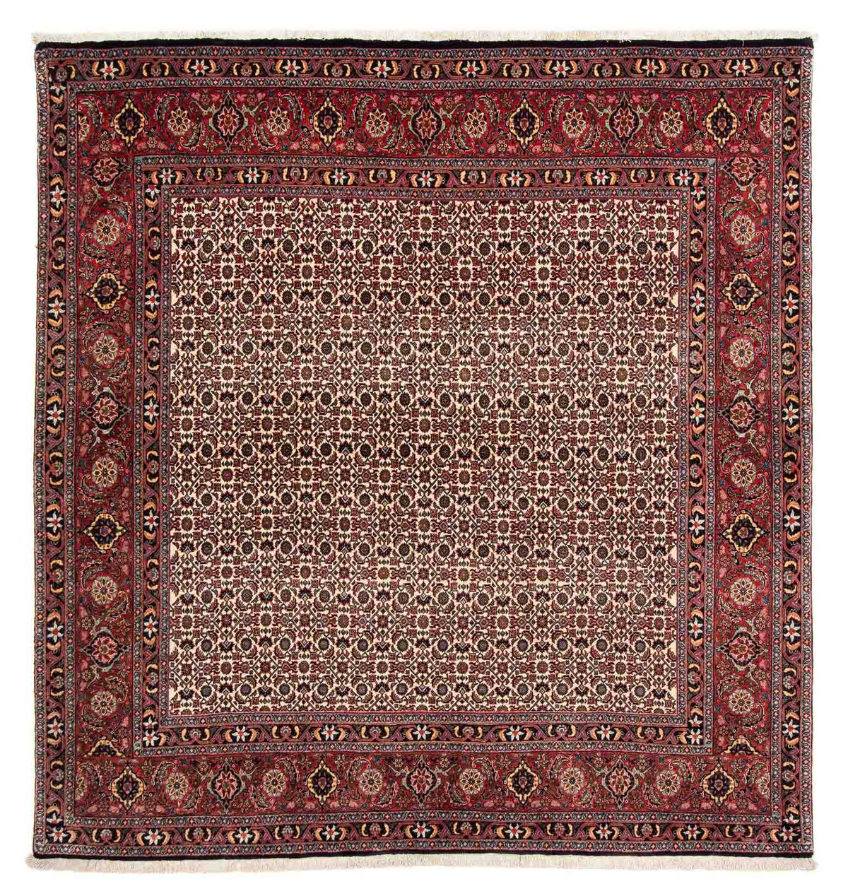 Tappeto Persero - Bidjar quadrato - 204 x 201 cm - rosso scuro