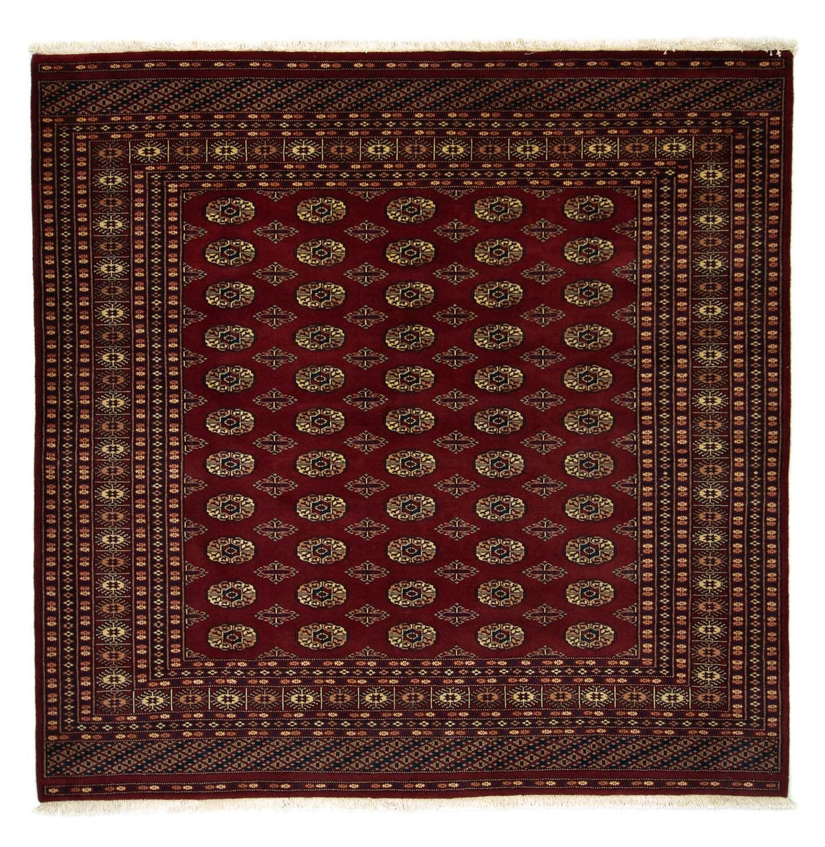 Tappeto afgano - Bukhara quadrato - 205 x 205 cm - rosso