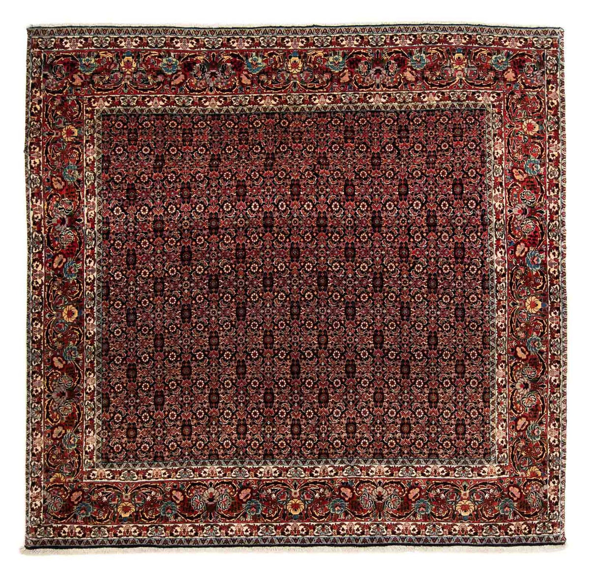 Tappeto Persero - Bidjar quadrato - 208 x 197 cm - marrone