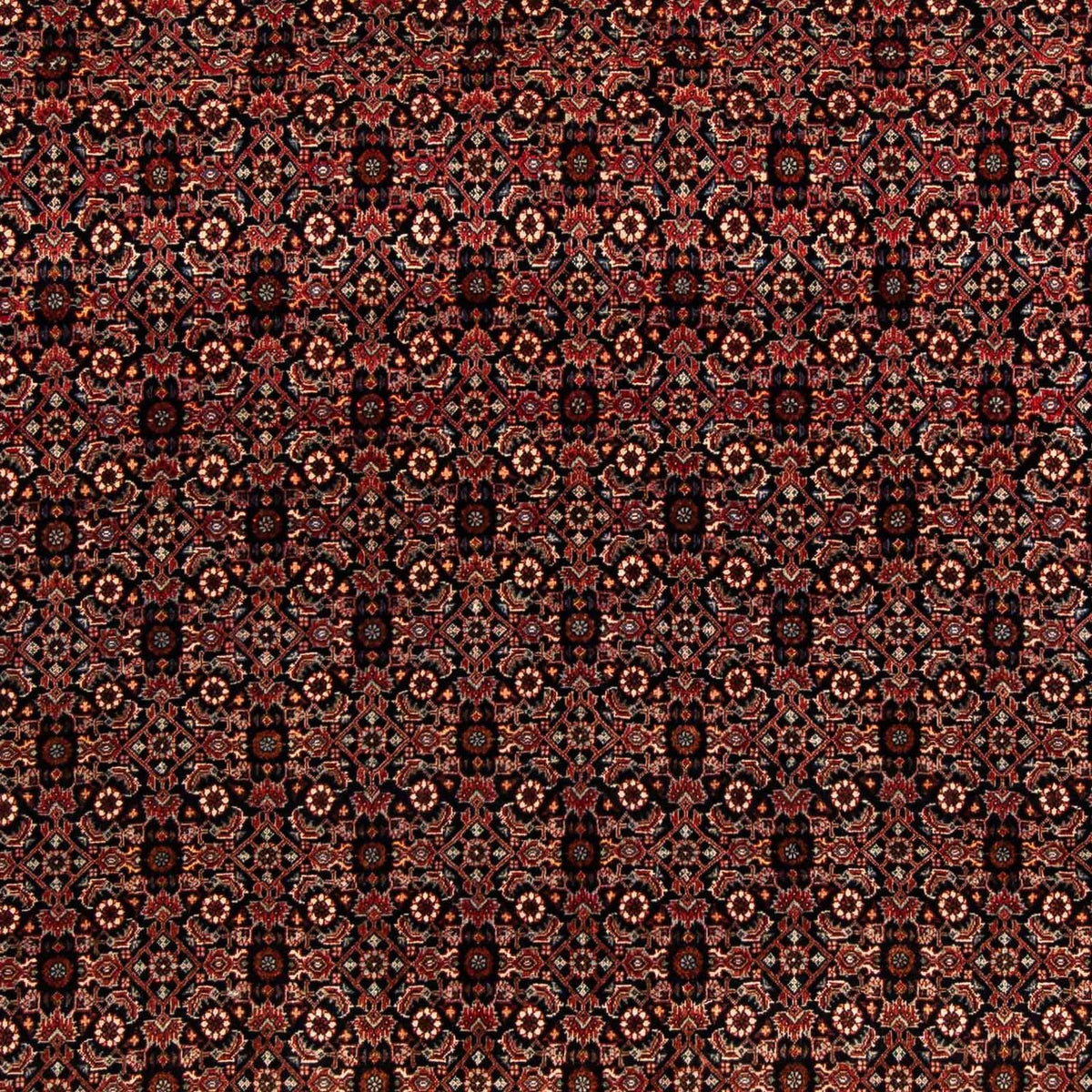 Tappeto Persero - Bidjar quadrato - 208 x 197 cm - marrone