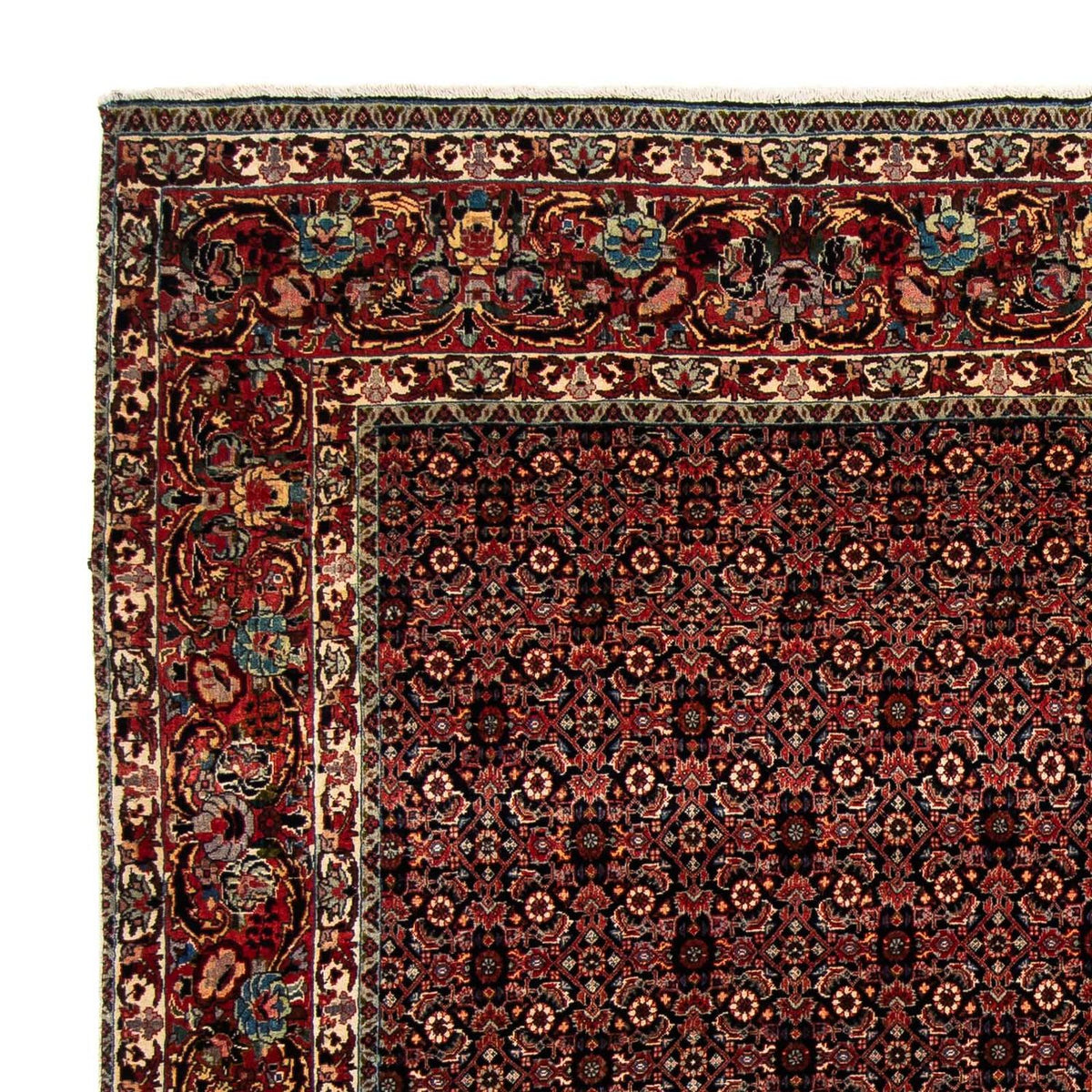 Tappeto Persero - Bidjar quadrato - 208 x 197 cm - marrone