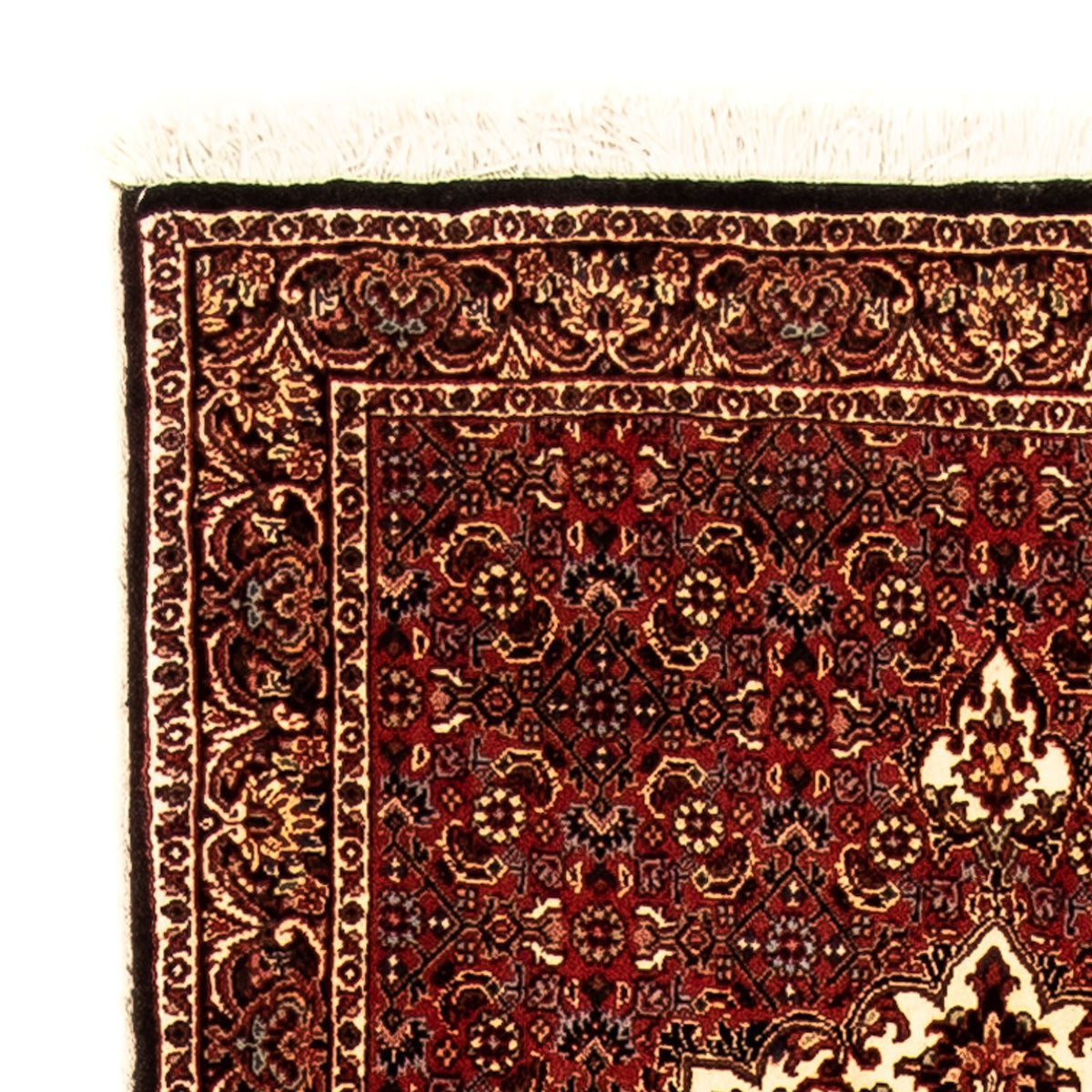 Tappeto corsia Tappeto Persero - Bidjar - 270 x 72 cm - multicolore
