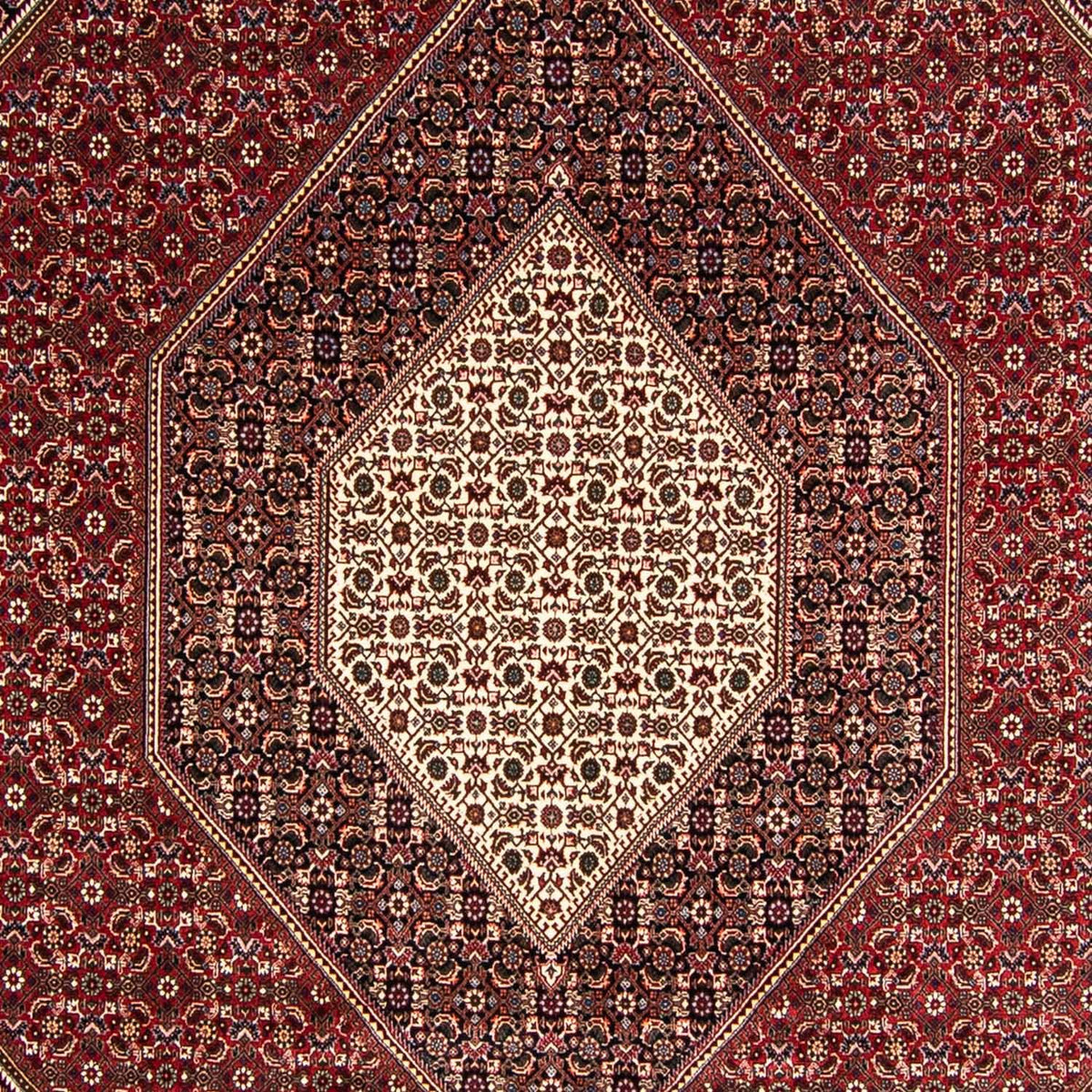 Tappeto Persero - Bidjar - 349 x 245 cm - rosso chiaro