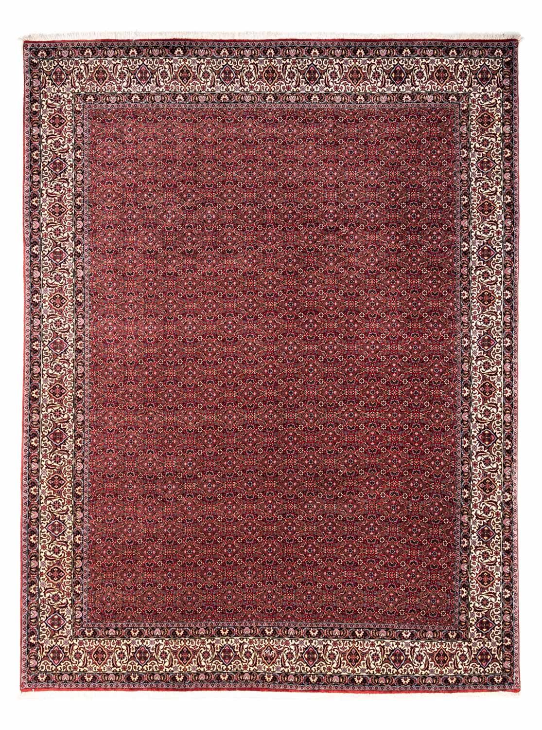 Tappeto Persero - Bidjar - 338 x 252 cm - rosso
