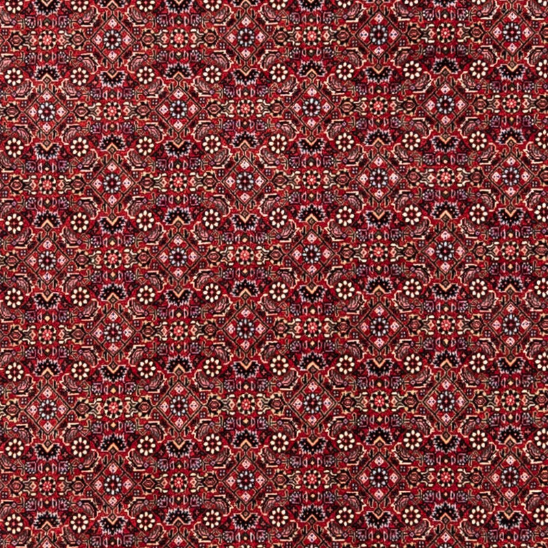 Tappeto Persero - Bidjar - 338 x 252 cm - rosso