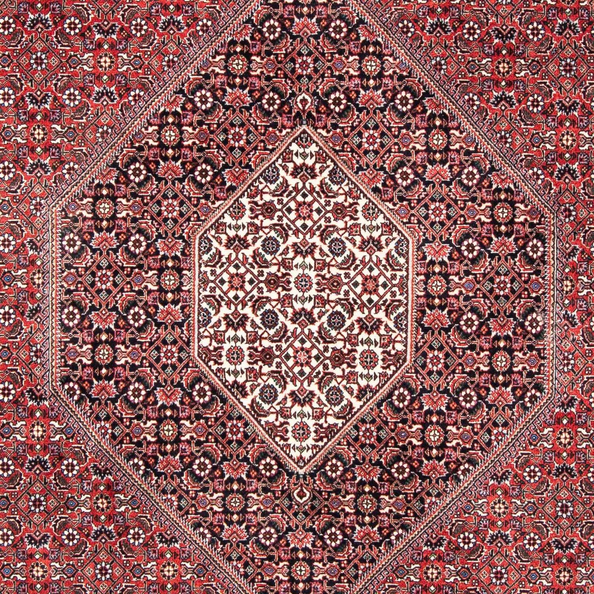 Tappeto Persero - Bidjar - 253 x 174 cm - rosso chiaro