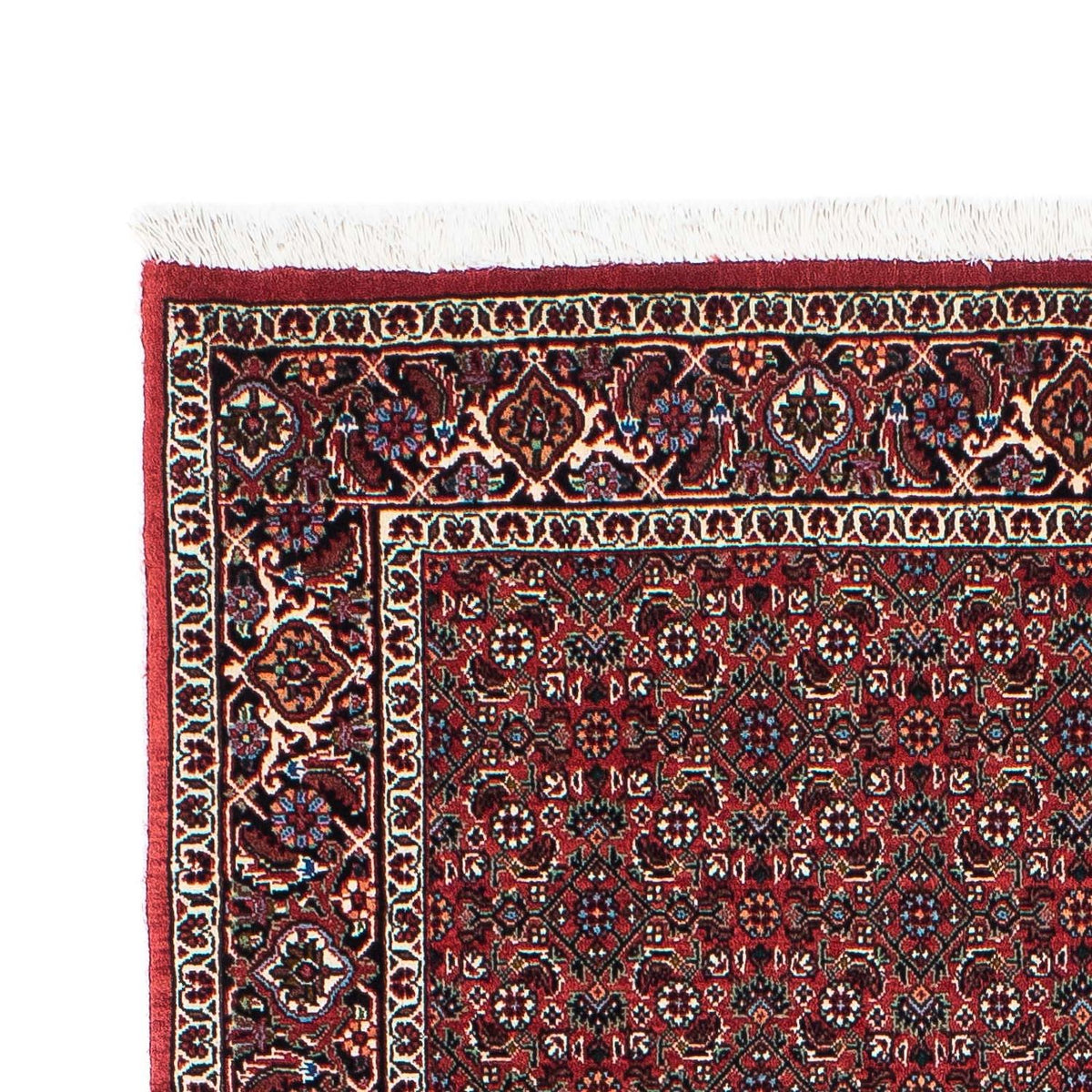 Tappeto corsia Tappeto Persero - Bidjar - 204 x 99 cm - rosso