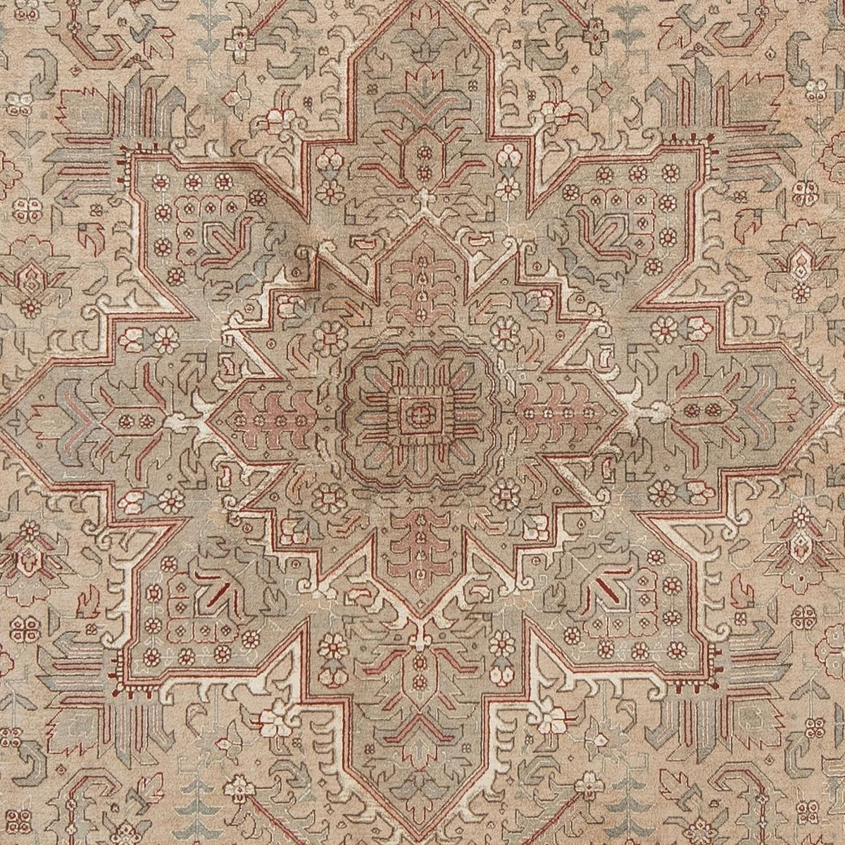 Tappeto Persero - Tabriz - Reale - 296 x 198 cm - marrone chiaro