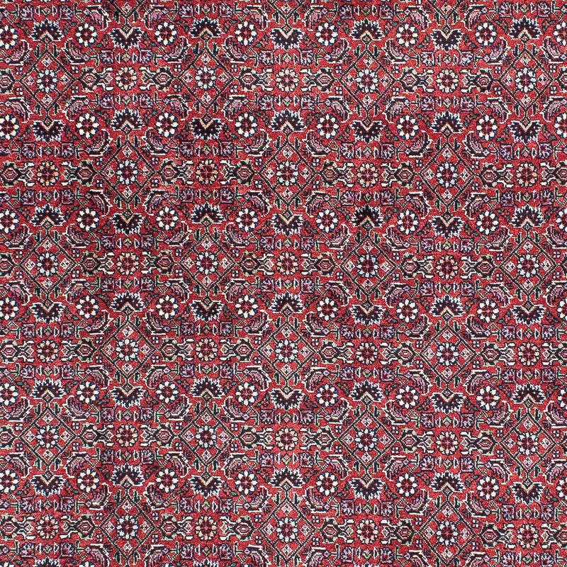Tappeto Persero - Bidjar - 216 x 128 cm - rosso chiaro