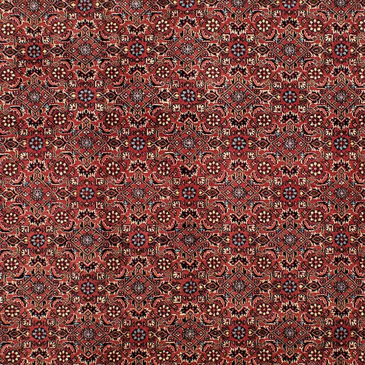 Tappeto Persero - Bidjar - 300 x 200 cm - rosso scuro