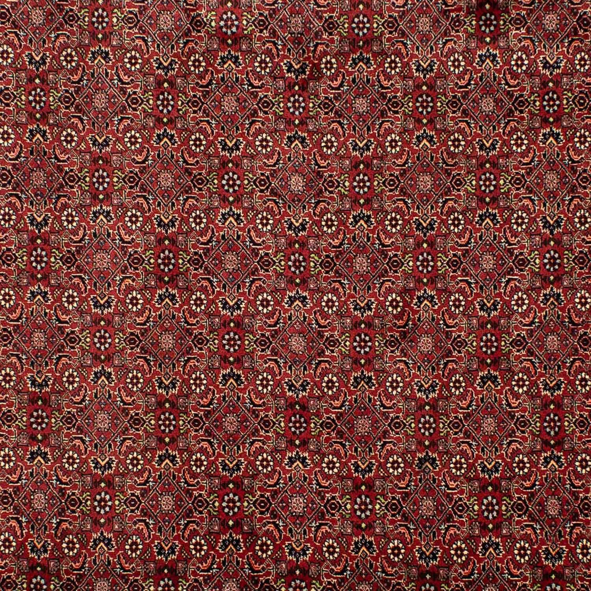 Tappeto Persero - Bidjar - 302 x 203 cm - rosso scuro