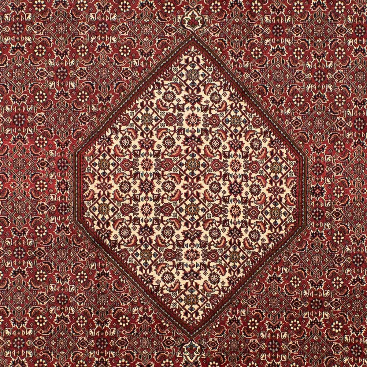 Tappeto Persero - Bidjar - 295 x 204 cm - marrone