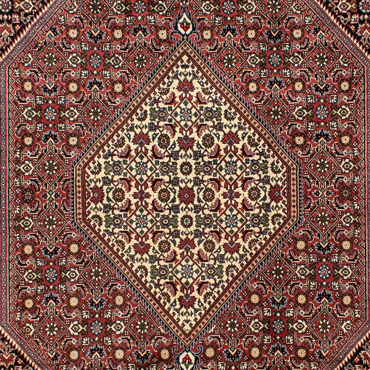 Tappeto Persero - Bidjar - 291 x 196 cm - rosso chiaro