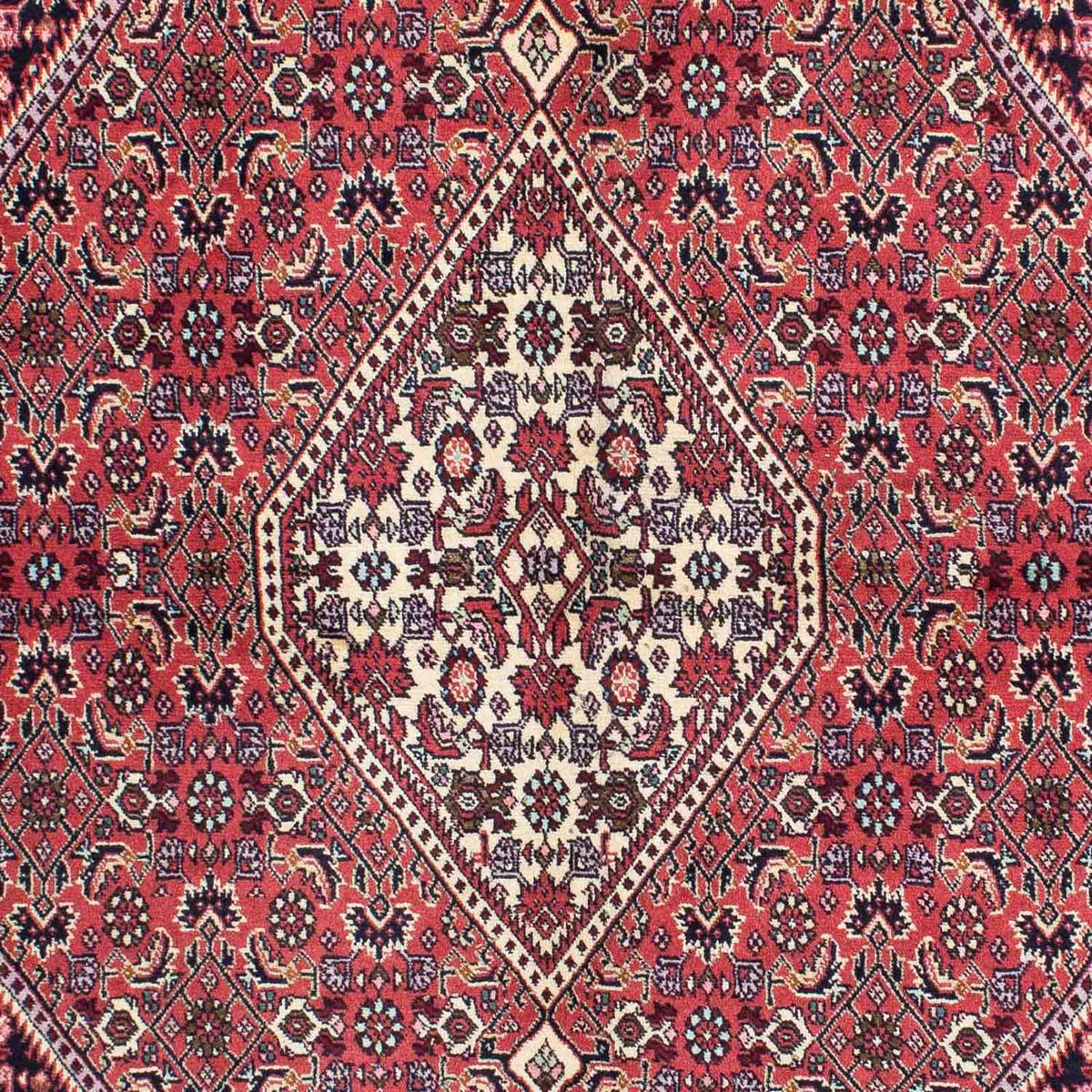 Tappeto Persero - Bidjar - 230 x 141 cm - rosso